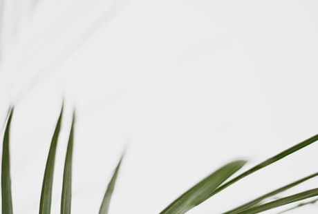 OpenCart 中文专业版博客功能上线! OpenCart 中文专业版博客功能上线!